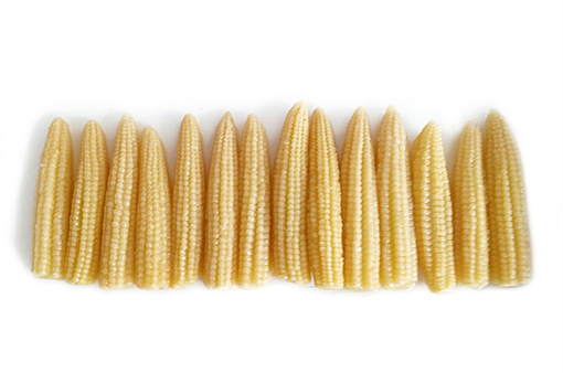 fresh canned baby corn in brine